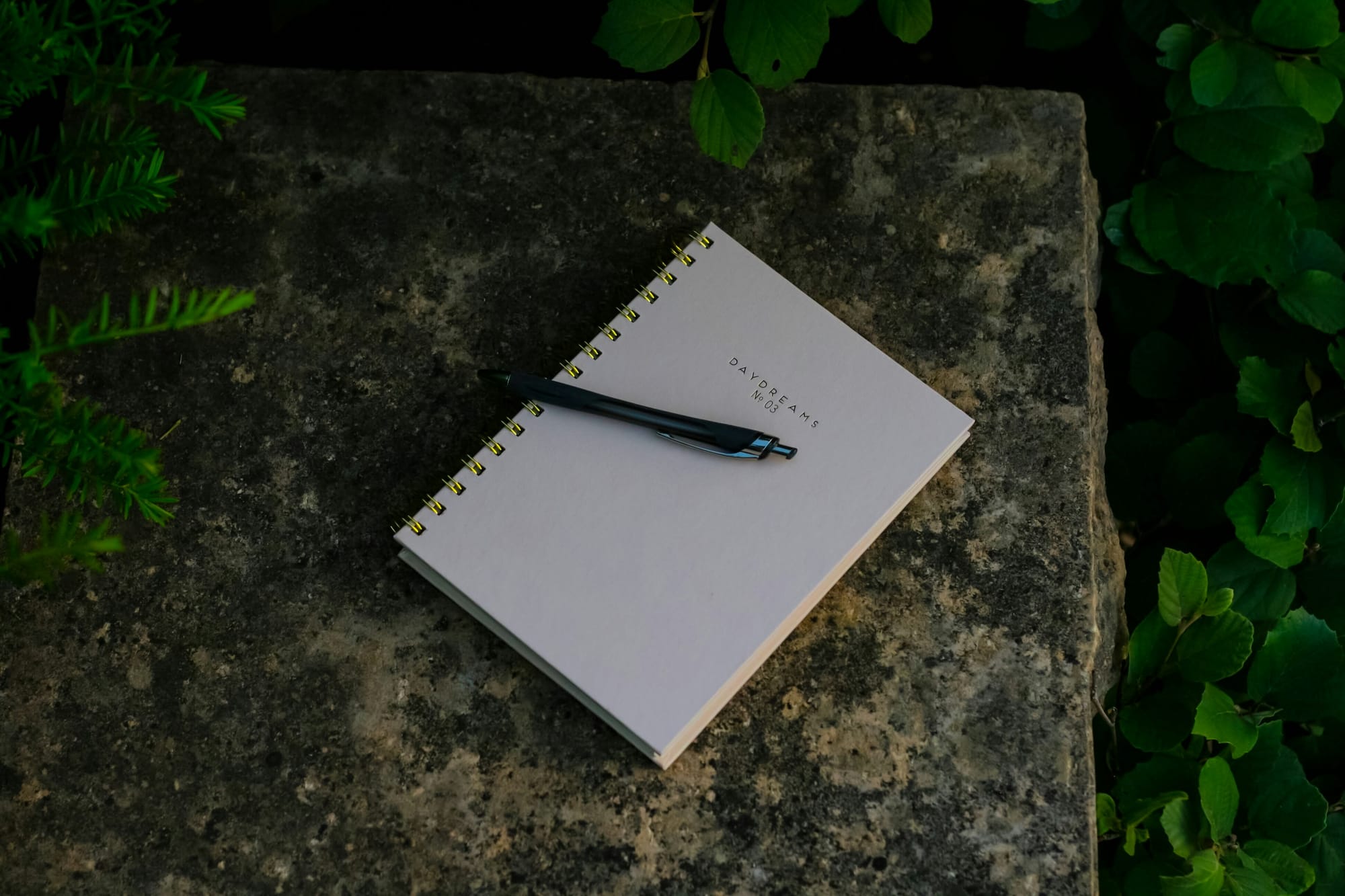 Journaling in nature, equine education notes for beginners